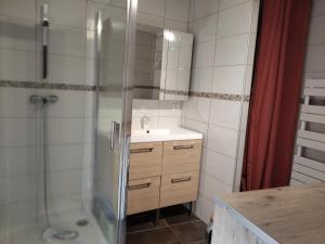 Appartement spacieux en centre ville de Besse