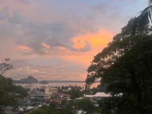 Cashew Blossom Boutique Guest Home