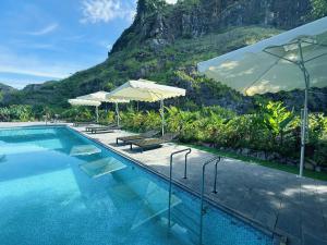 Trang An River Sunshine