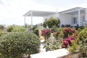 Ambelas Mare Apartments Paros Greece