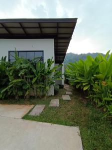 New 2 BR Villa Nai Thon