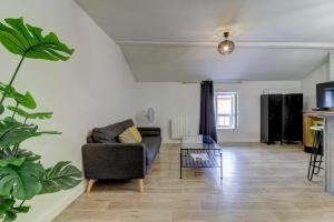 Appartements Le nid douillet - Centre Ville - 3 etoiles : photos des chambres