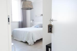 B&B Bucci 54