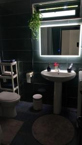 Tiny home at the castle