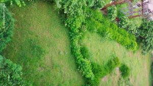 OSHO Villa Homestay Near Airport