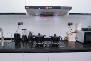 classy executive two bedroom apartment with fully equipped gym ample parking space swimming pool children playing ground and amazing scenic views