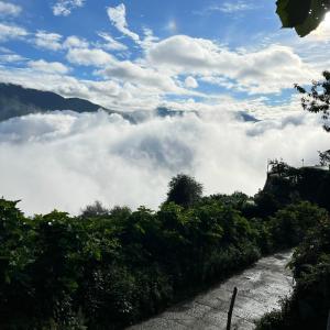 Lofi Homestay Tà Xùa