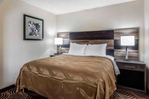 Queen Suite with Sofa Bed room in Quality Inn & Suites
