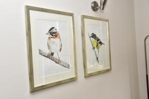 Departamentos Naguilan