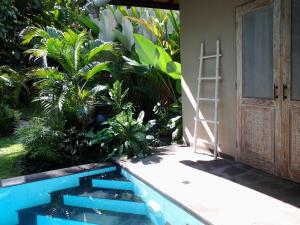 Villa Jati - Private Poolside Villa Central Lovina