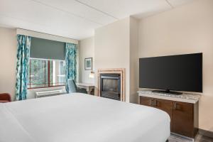Deluxe King Room with Fireplace room in Hilton Garden Inn Wisconsin Dells