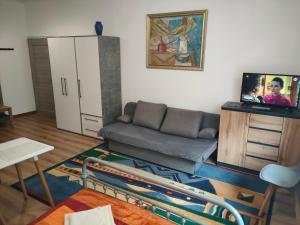 Apartment with kitchenette