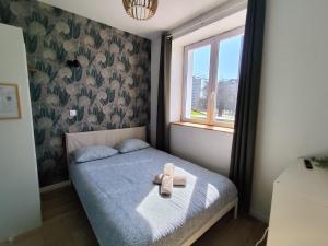 Appartements Grand espace et confort a proximite des facultes : photos des chambres