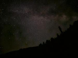 Freebird Nest Retreat