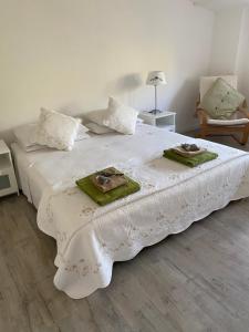 B&B / Chambres d'hotes La Cour des Cloches : photos des chambres