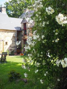 B&B / Chambres d'hotes Chambre d-hotes sympathique : photos des chambres