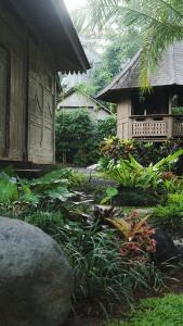 Green Tree House Villa Ubud