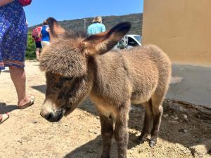 Locanda Su mere b&d img71