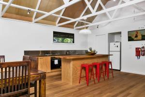 #16 Tallow Sands - Tawny Frogmouth