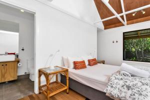 #16 Tallow Sands - Tawny Frogmouth