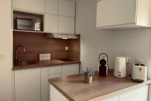 Apartment with garden at the foot of the harbor