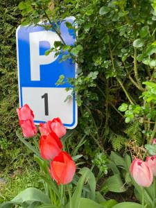 APARTMENT KLAGENFURT Villa Frank No2 - with Free Parking, Smart-TV & Self Check-in