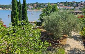 1 Bedroom Amazing Apartment In Lopar 