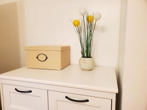 Appartements Le Petit Versailles : photos des chambres