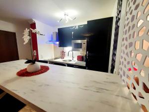 Appartements Le Petit Versailles : photos des chambres
