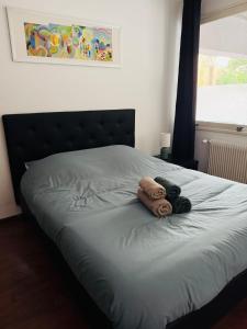 Appartements L-Opale R confort et emplacement ideal a Dunkerque : photos des chambres