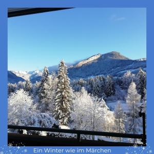 Lebensfreude Appartement