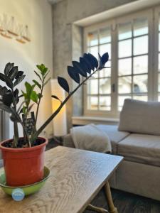 T4 lumineux, tout équipé, au centre dAurillac