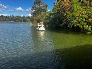 Pelican Lake safari resort