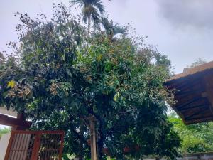 Quốc Cảnh Homestay