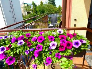 Pokoje Gościnne Kaya