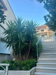 Apartments Lorenco