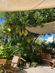 Hotel Karia Princess