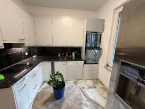 swisscheapholiday apartment