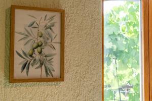 BnB Feuille de Vigne