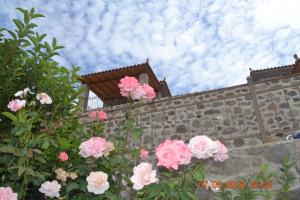 Villa Molivos Castle Lesvos Greece