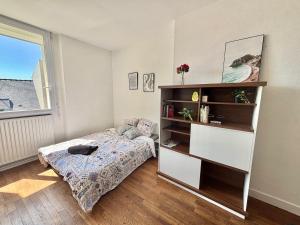 Appartements Grand appartement T3 lumineux en centre ville : photos des chambres