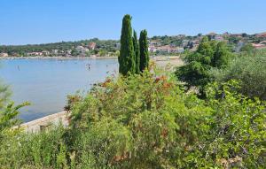 Amazing Apartment In Lopar With House Sea View