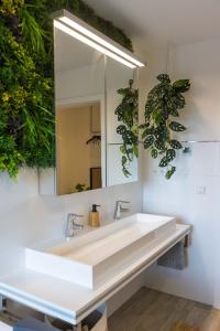 Tropengeflüster Penthouse in Hof, Whirlpool, Balkon, Webergrill, Digital Checkin, Parkplatz, Wlan330Mbit