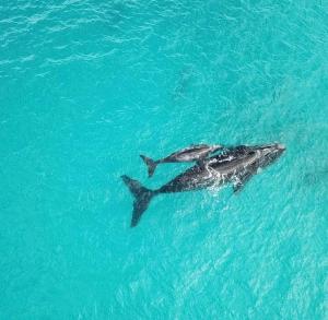 Salt and Sea Park beach