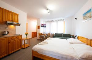 Studio (2 Adults) room in Penzion Snezienka