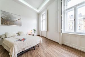 Budapest City Apartment
