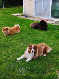 Petit séjour en chalet