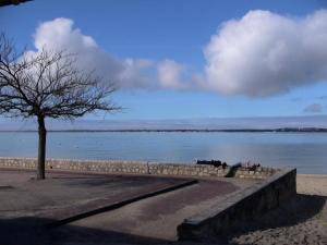 Maisons de vacances Maison De Vacances Pres Du Centre : photos des chambres