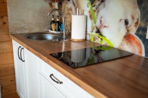 Domek Pod Limbami II