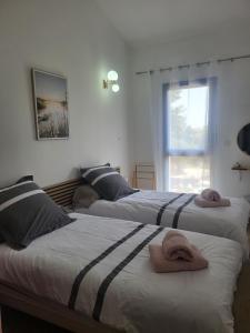 Maisons de vacances Le Clos Sidoine : photos des chambres